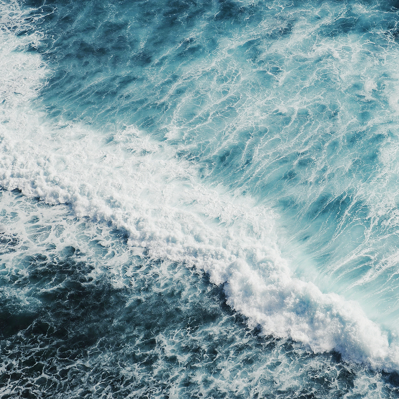 Crescemos com propósito